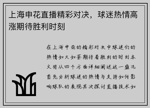 上海申花直播精彩对决，球迷热情高涨期待胜利时刻